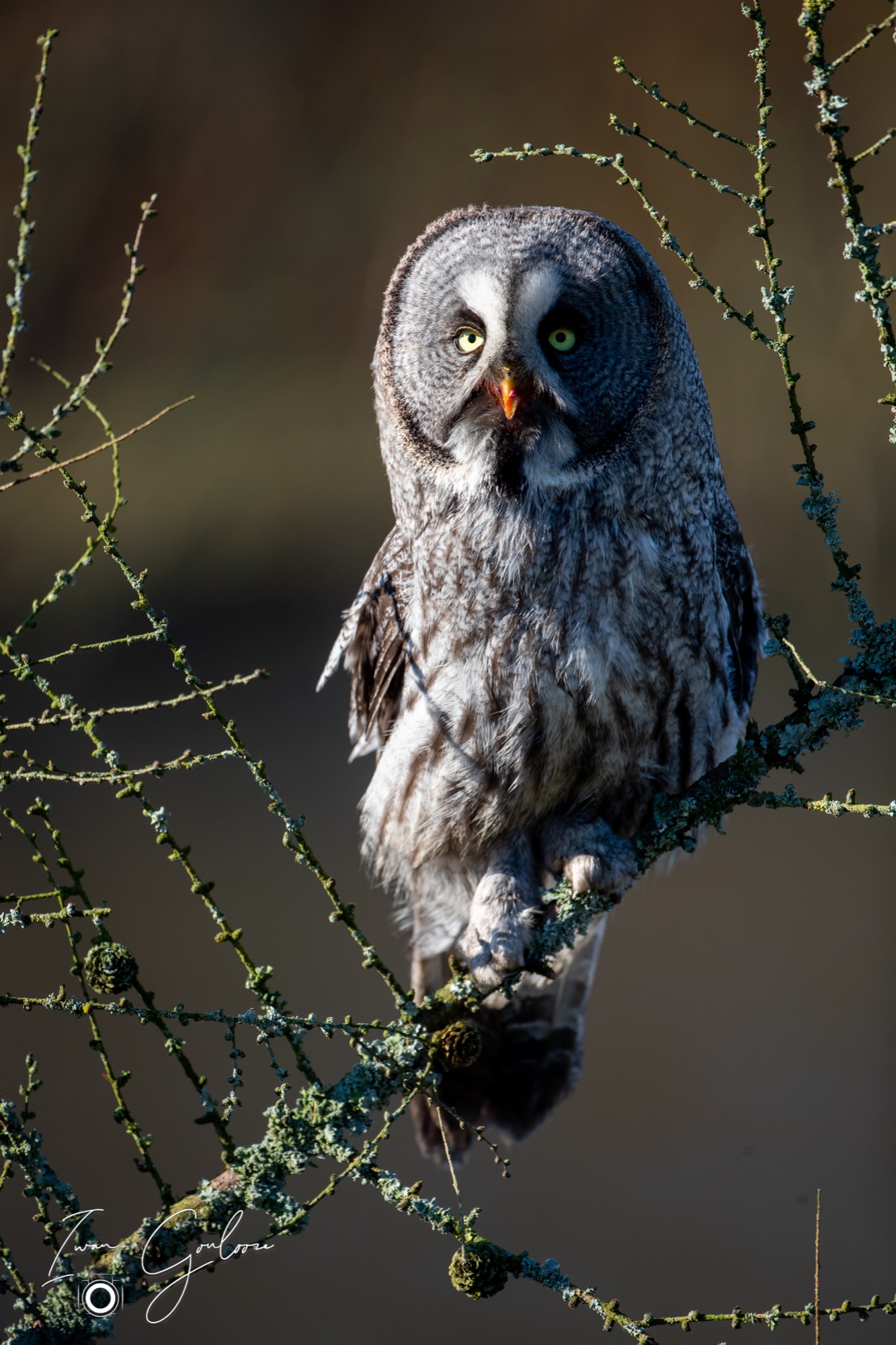 04 maart 2022 153846 1DX44081